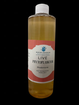 Rhodomonas phytoplankton 16oz