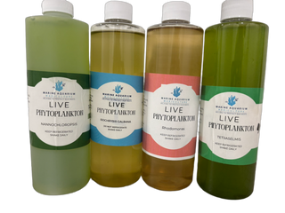4 pack Phytoplankton
