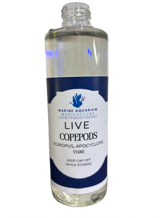 Live Copepods- Mixed (Apocyclops Tig, Tisbe)