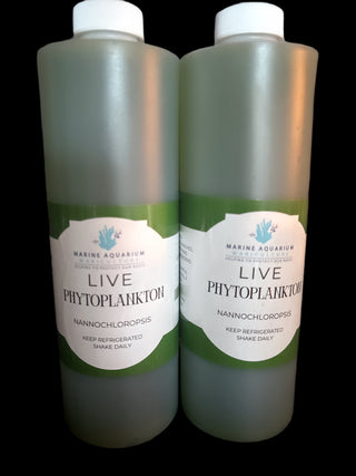 Nannochloropsis phytoplankton 32oz (2 bottles)